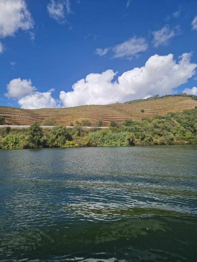 Douro valley